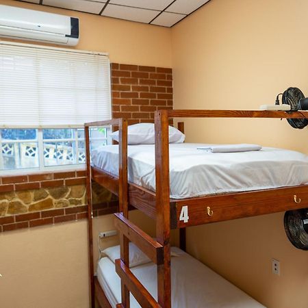 Yellow Belly Backpackers San Ignacio Room photo