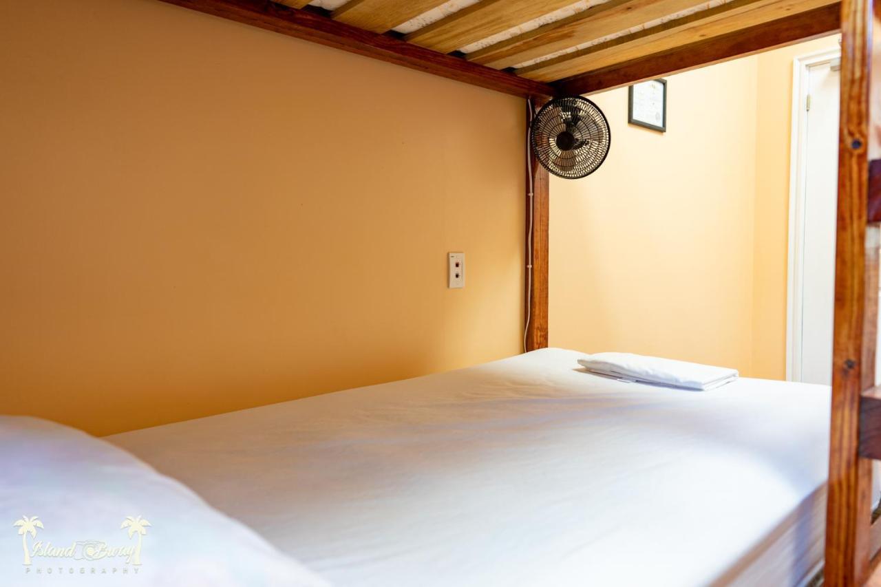 Yellow Belly Backpackers San Ignacio Room photo