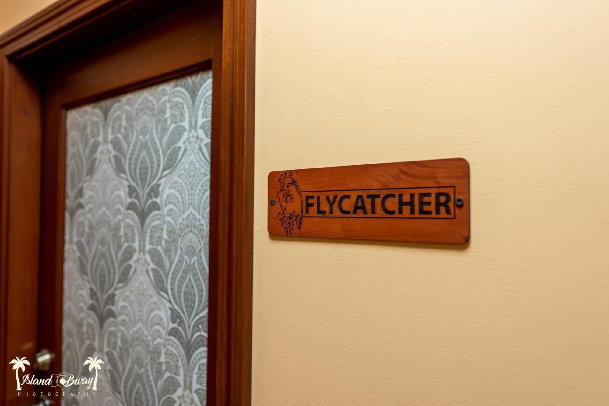 Yellow Belly Backpackers San Ignacio Room photo