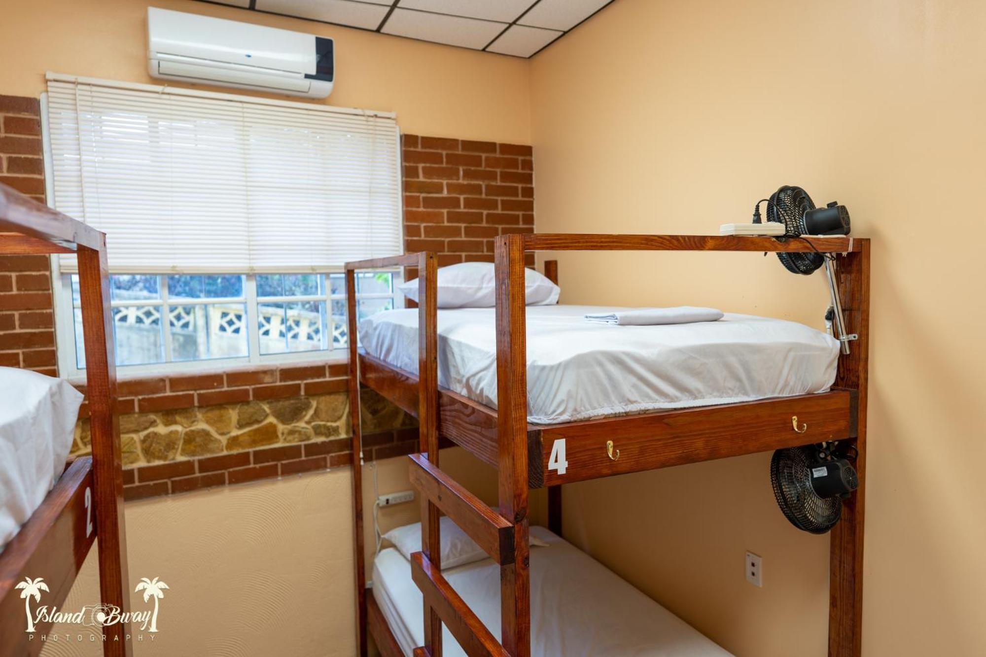 Yellow Belly Backpackers San Ignacio Room photo