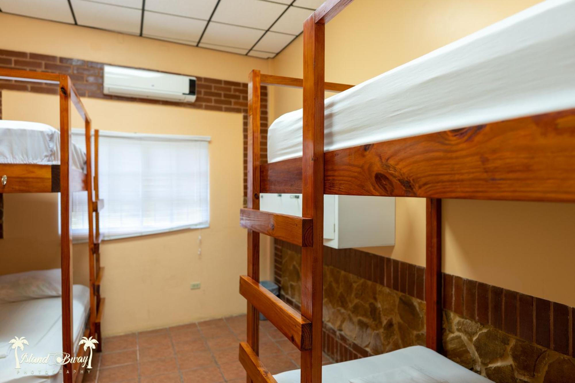 Yellow Belly Backpackers San Ignacio Room photo