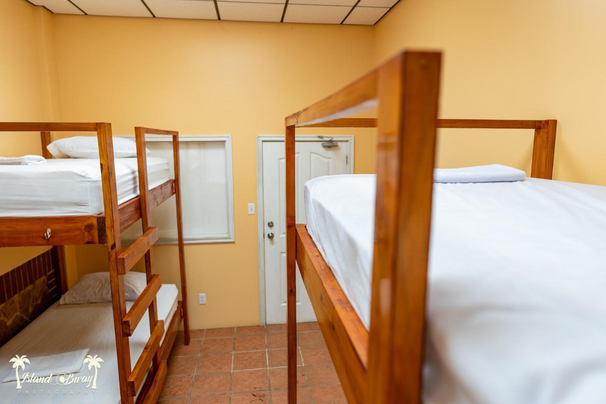 Yellow Belly Backpackers San Ignacio Room photo