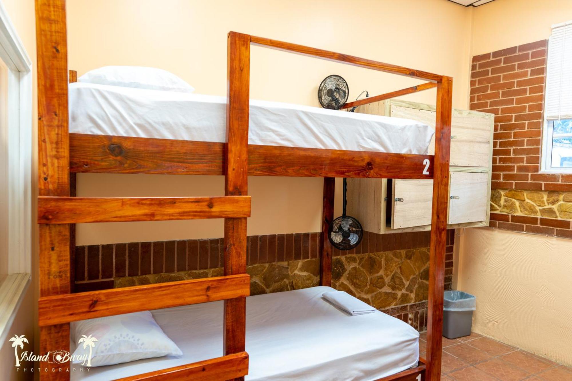 Yellow Belly Backpackers San Ignacio Room photo